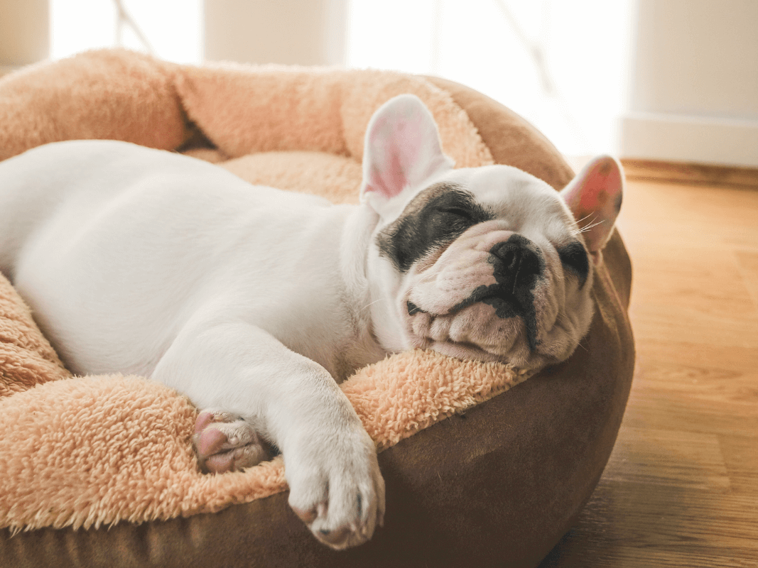 Beds, Comfort & Everyday Living