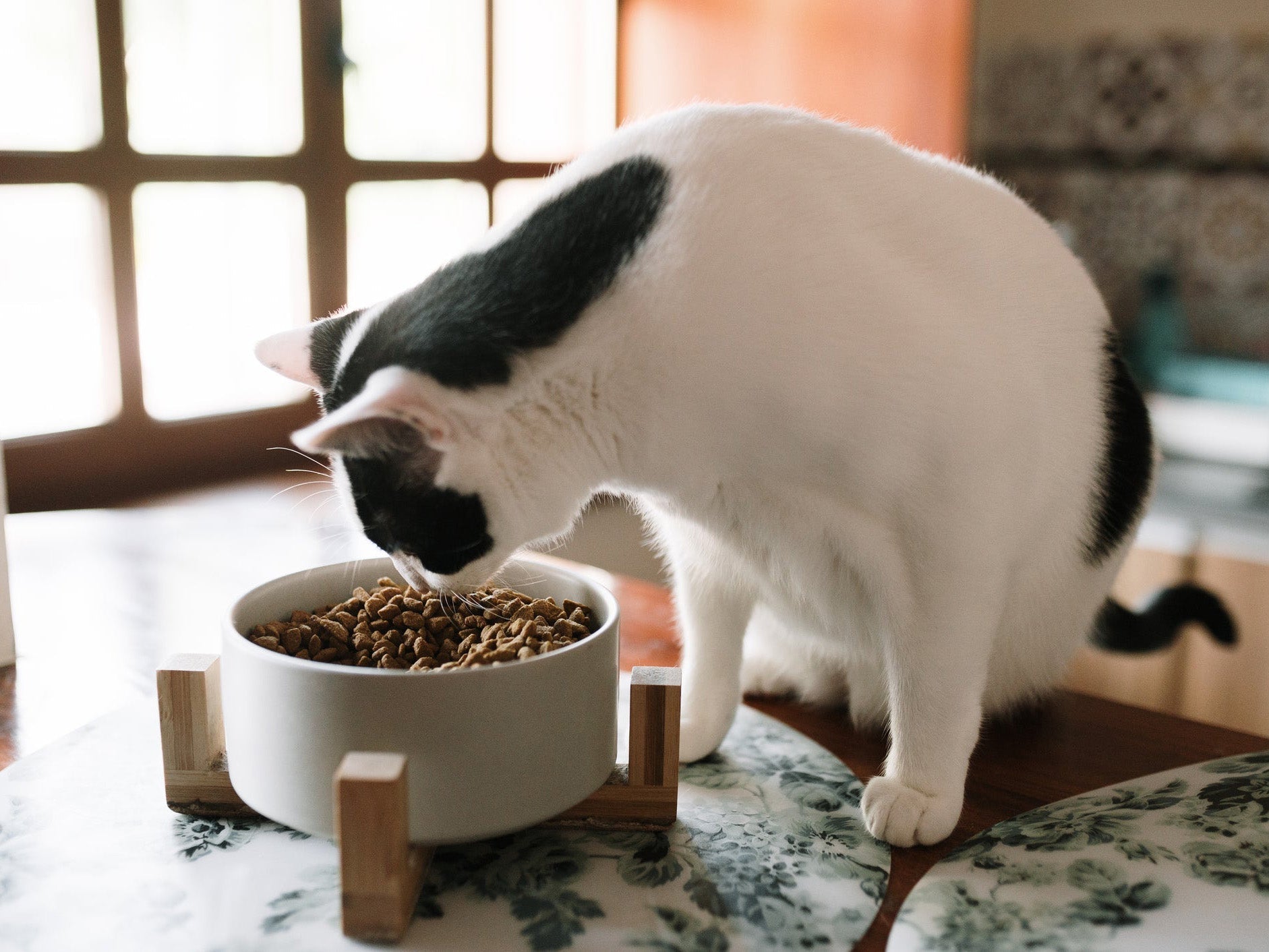 Feeding Essentials