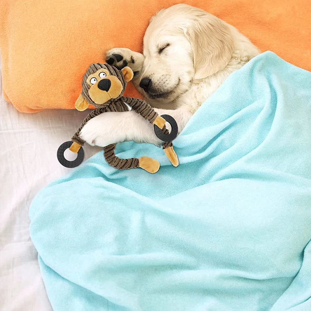 Plush Squeaky Monkey Dog Toy