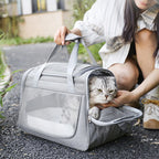 Portable Mesh Pet Carrier Bag