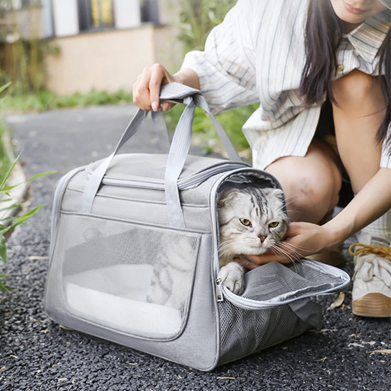 Portable Mesh Pet Carrier Bag