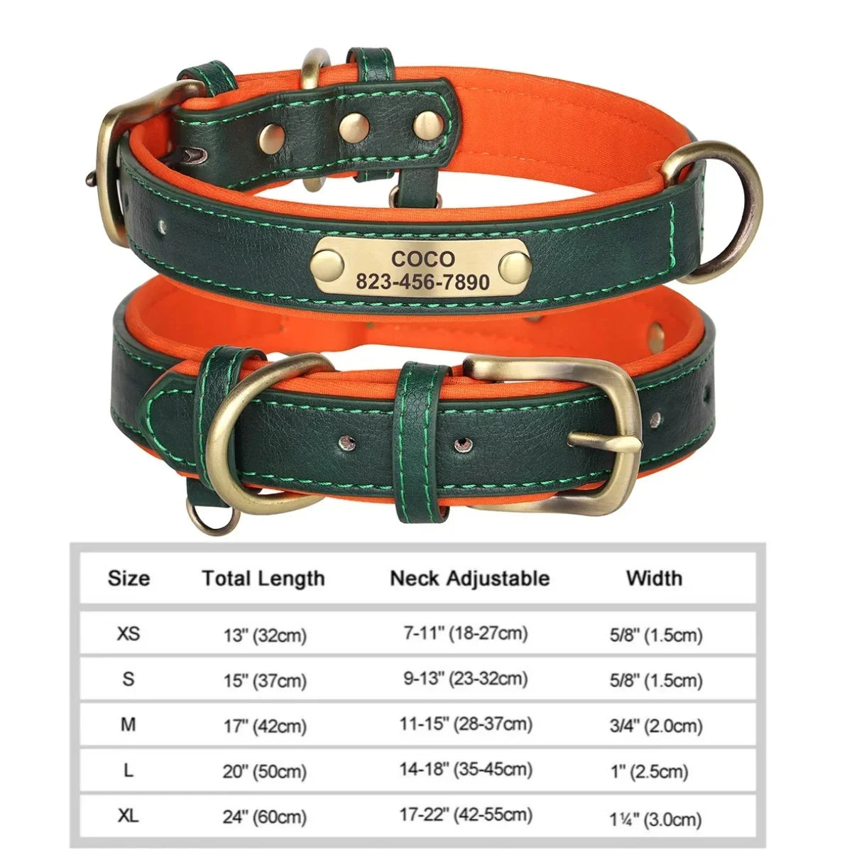 Personalized Padded Leather Dog Collar