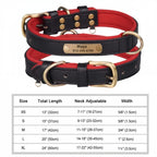 Personalized Padded Leather Dog Collar