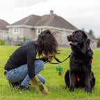 Extra Thick Dog Poop Bags with Dispenser