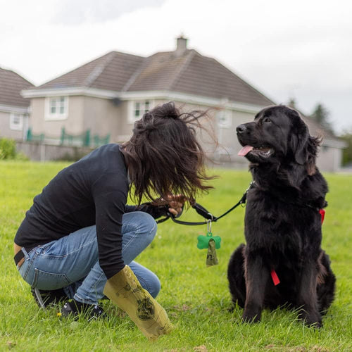 Extra Thick Dog Poop Bags with Dispenser