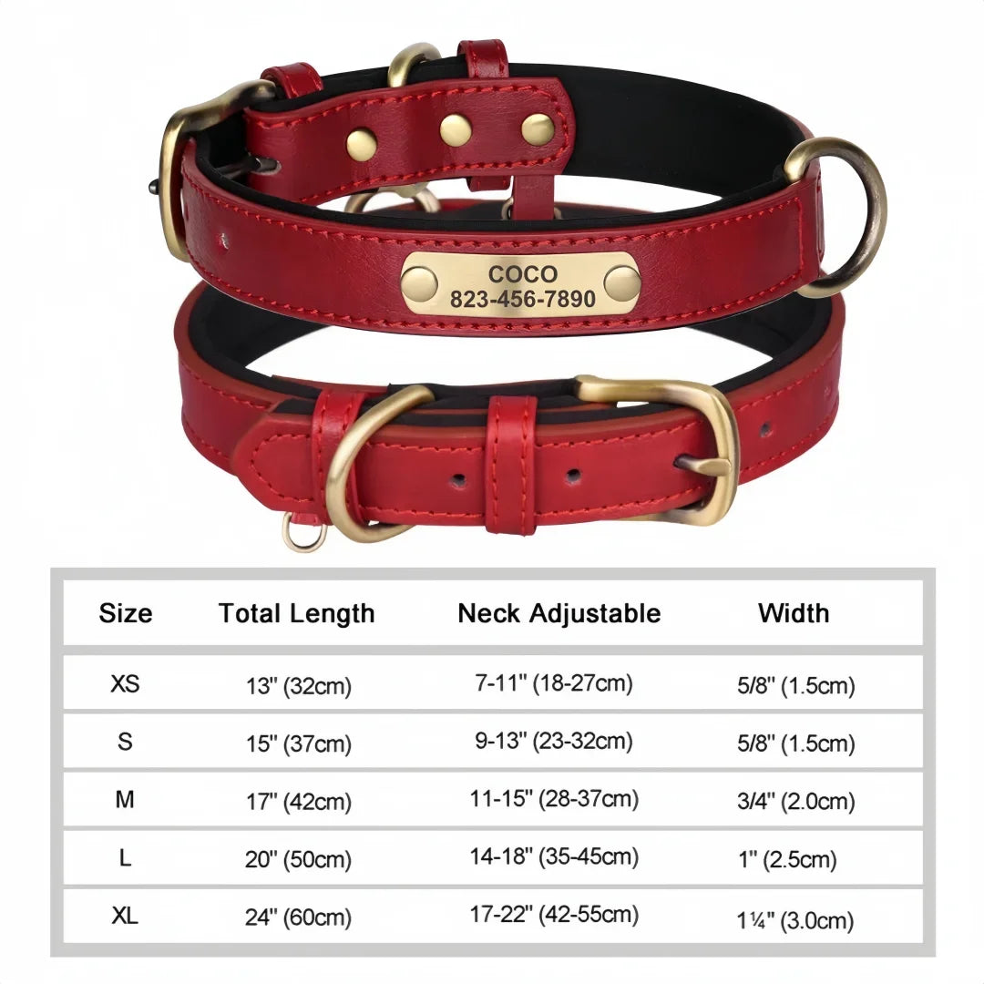 Personalized Padded Leather Dog Collar