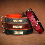 Personalized Padded Leather Dog Collar