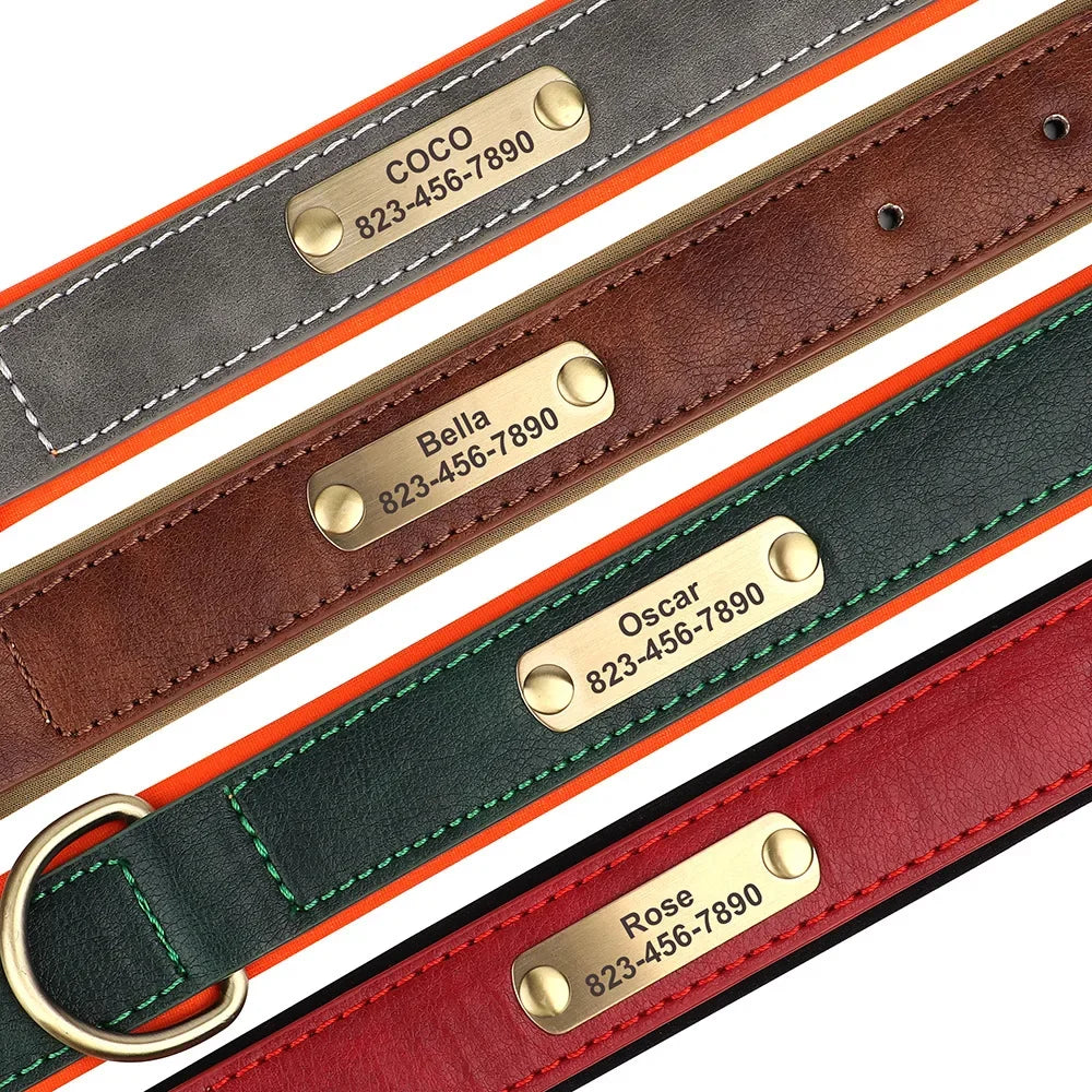 Personalized Padded Leather Dog Collar