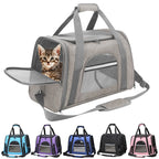 Portable Mesh Pet Carrier Bag