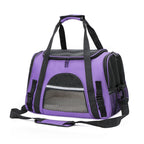 Portable Mesh Pet Carrier Bag