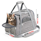 Portable Mesh Pet Carrier Bag