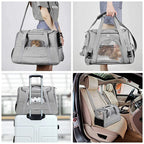 Portable Mesh Pet Carrier Bag