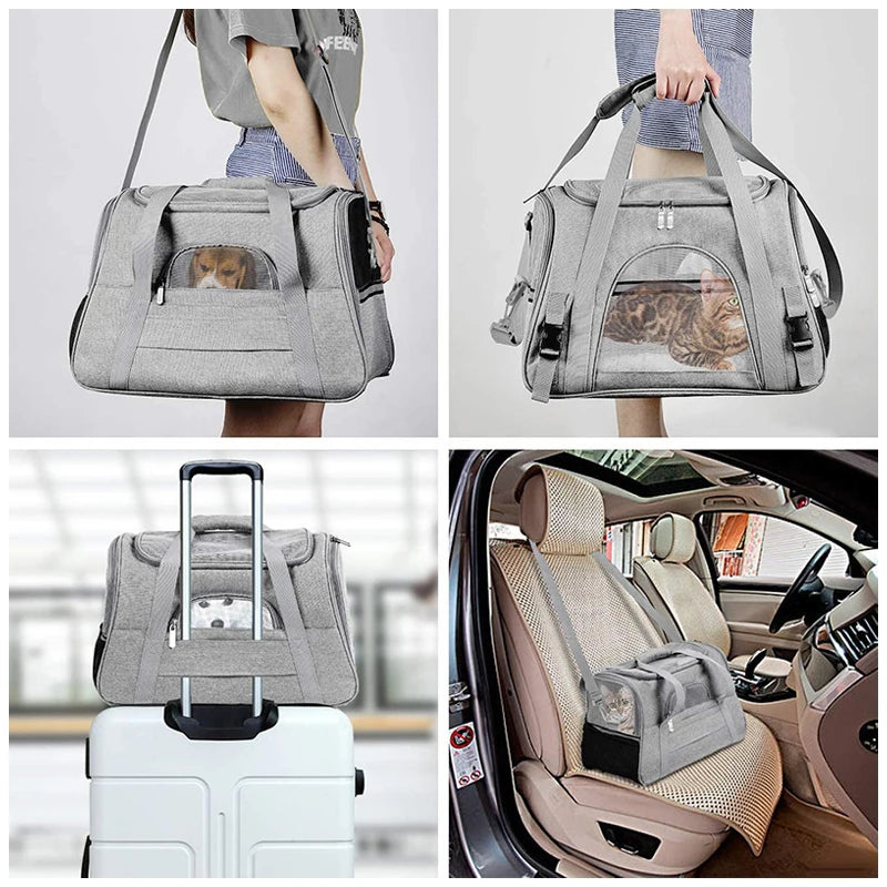Portable Mesh Pet Carrier Bag