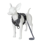 Reflective Adjustable Pet Harness Set
