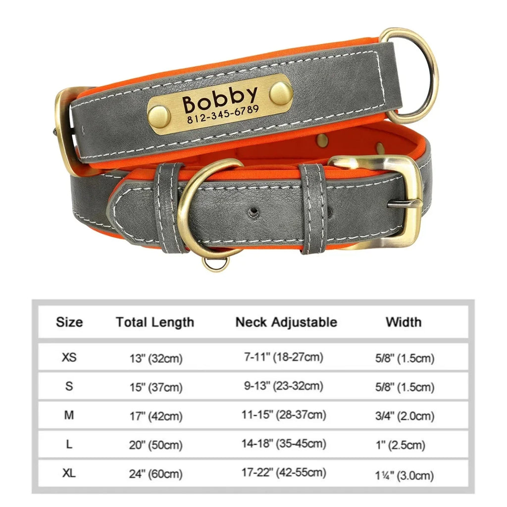 Personalized Padded Leather Dog Collar