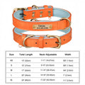 Personalized Padded Leather Dog Collar