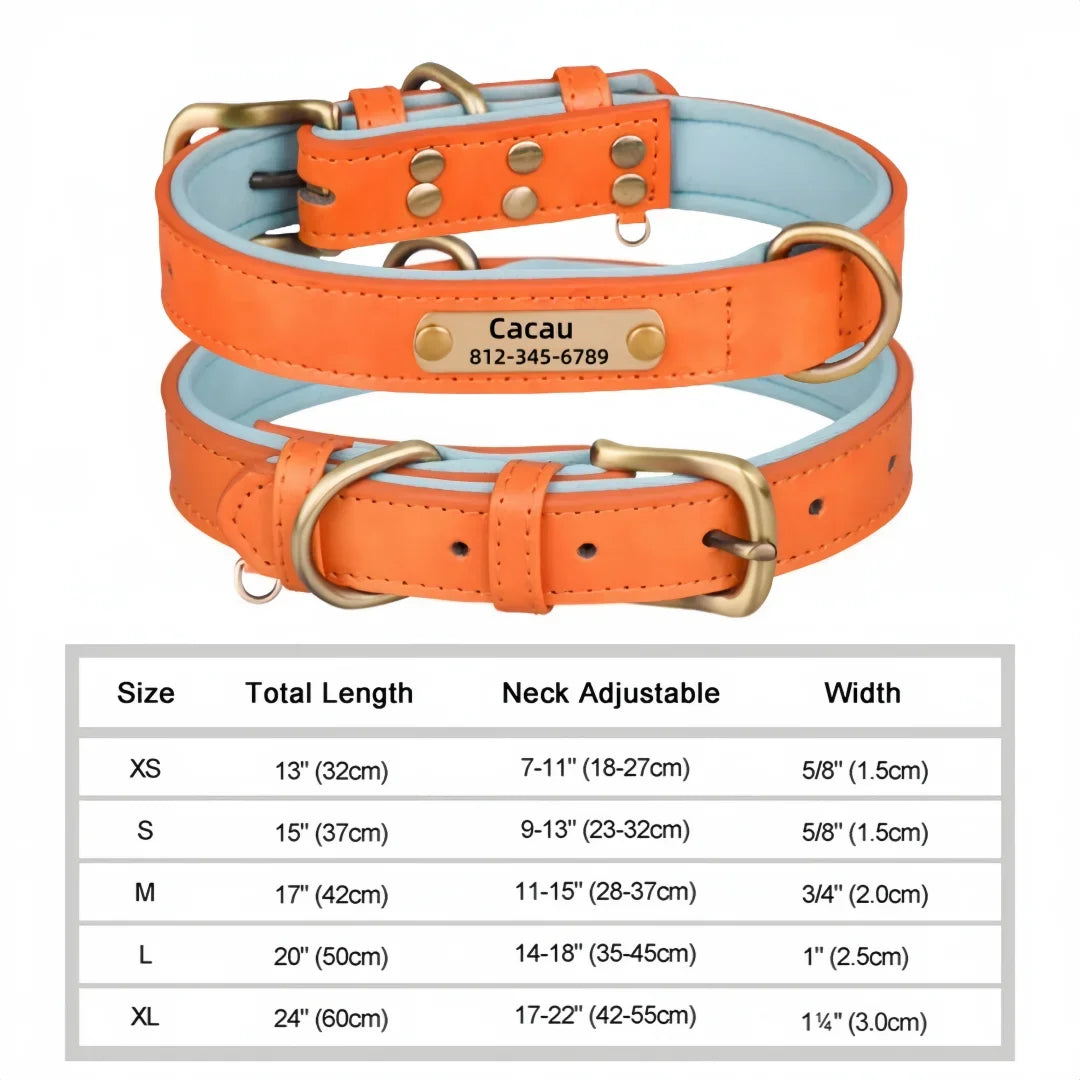 Personalized Padded Leather Dog Collar